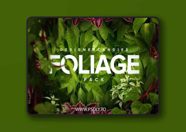 3D Foliage Pack - Transperent PNG 1 3D Foliage Pack - Transperent PNG