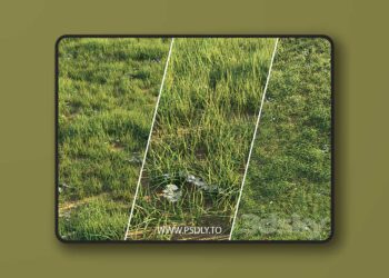 3dsky Pro - Askona Linea Bet 3D Model