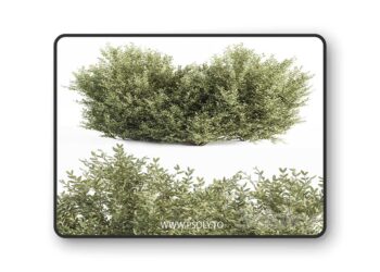 3dsky Pro - Buxsus Leaf Bush - Bush Set 27
