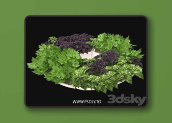 3dsky Pro - Decor with herbs 3D Model