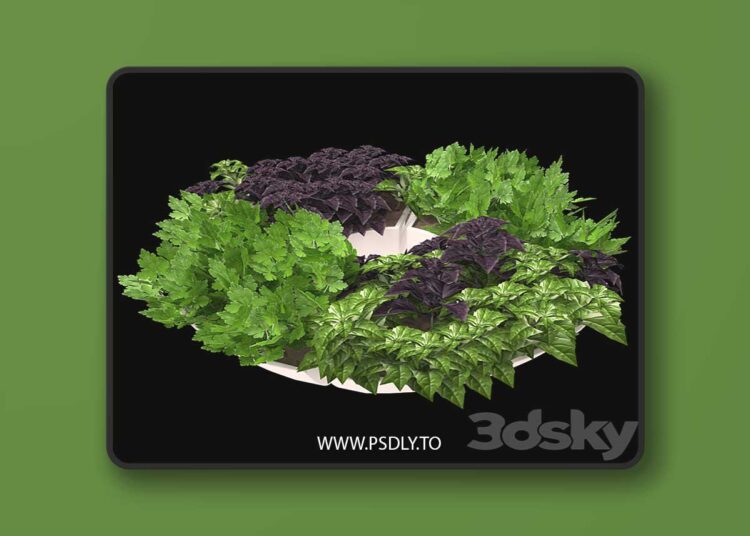 3dsky Pro - Decor with herbs 3D Model 1 3dsky Pro - Decor with herbs 3D Model
