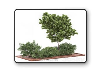 3dsky Pro - Garden set bush and Tree Set01 3D Model