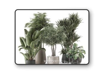 3dsky Pro - Indoor Plants in Ferm Living Bau Pot Large - Set 1325