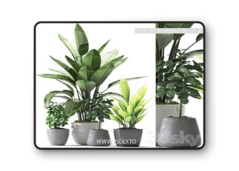 3dsky Pro - Plants 176 3D Model