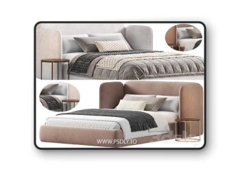 3dsky Pro - Teen Adults Single Level Bed