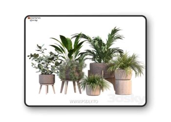 3dsky Pro - plant in vase collection set 214