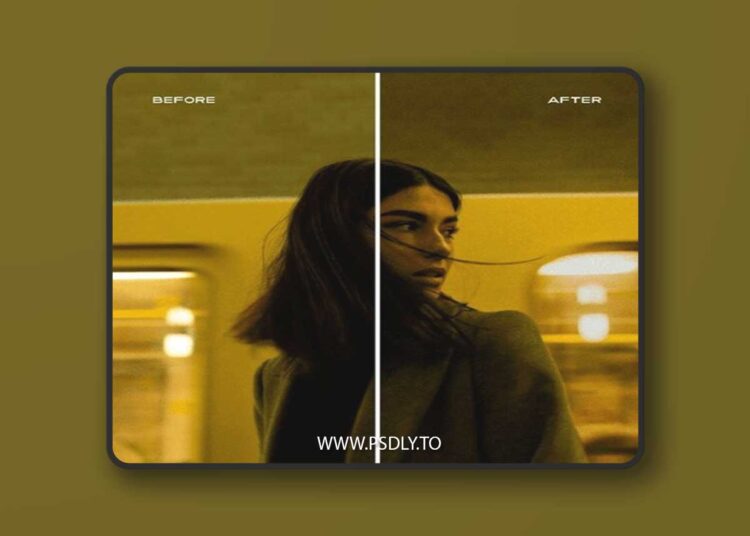 CINESTILL 800T Dailycine LR Color Preset + Luminous Action 1 CINESTILL 800T Dailycine LR Color Preset + Luminous Action