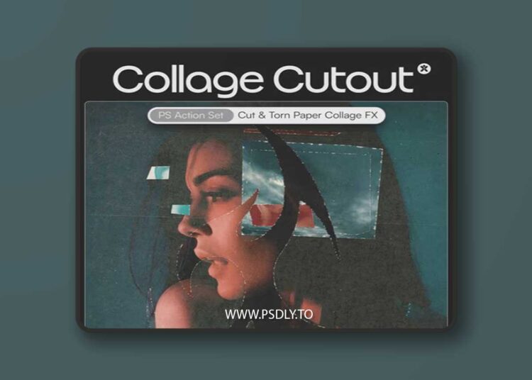 DoronSupply / Doron Studio - Collage Cutout 1 DoronSupply / Doron Studio - Collage Cutout