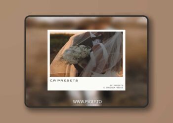 Dс Presets x Chelsea Reece. Lightroom Presets