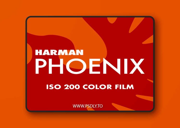 Film is Fun - Harman Phoenix 200 Film Emulation Lightroom Preset 1 Film is Fun - Harman Phoenix 200 Film Emulation Lightroom Preset