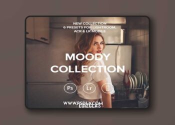 Luizclas Moody Lightroom, ACR & Mobile Presets