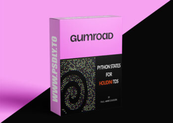 Python States for Houdini TDs By Paul Ambrosiussen