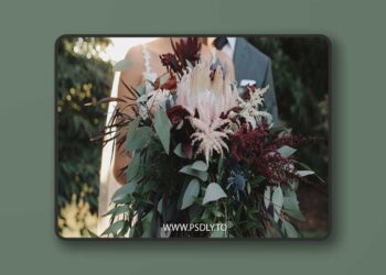 White In Revery - Timbre