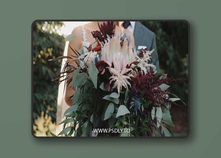 White In Revery - Timbre 1 White In Revery - Timbre