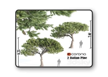 3dsky Pro - 2 Italian pine corona 3d Model