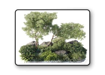 3dsky Pro - Collection outdoor indoor 62 pot plant & tree & bush & fern the garden pot