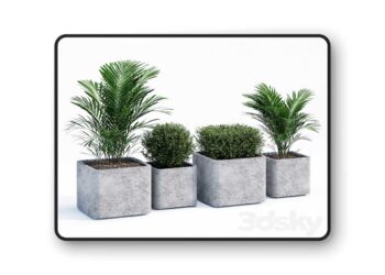 3dsky Pro - Conc pot 3D Model