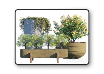 3dsky Pro - Hanging Plants 01 3D Model
