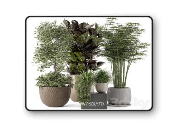3dsky Pro - Indoor Plants in rusty Concrete Pot - Set 229