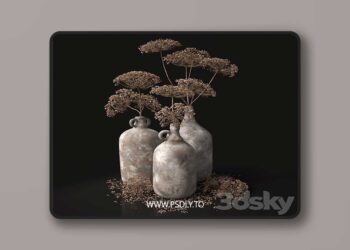 3dsky Pro - Jugs with dry dill stalks