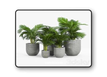 3dsky Pro - Neo planter 3D Model