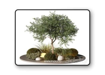 3dsky Pro - Outdoor Plant 196 3D Model