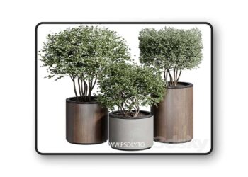 3dsky Pro - Outdoor Plant 25 3D Model