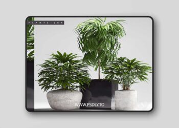 3dsky Pro - PLANTS 164 3D Model