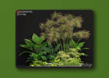 3dsky Pro - Plants collection 241 3D Model