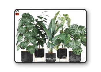 3dsky Pro - Plants collection 584 3D Model