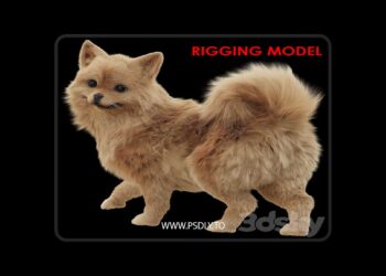 3dsky Pro - Spitz 3D Model