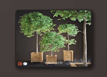 3dsky Pro - Three trees interior 3D Model