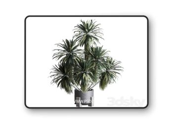 3dsky Pro - palm plant in concrete dirt vase - Indoor plant 275