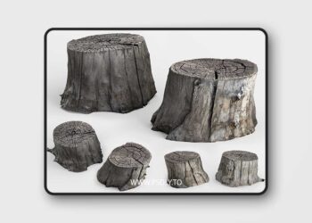 3dsky Pro - photoscan of two stumps 3D Model