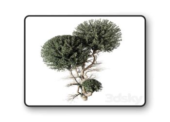 3dsky Pro - tree vol 17 3d Model
