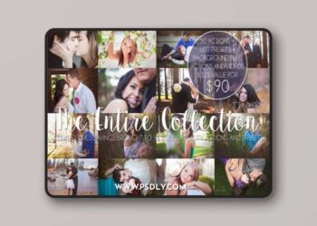 CreativeMarket - The Entire Simplicity Collection 403636