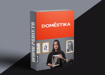 Domestika - Introduction to Blackwork Tattoo Illustration