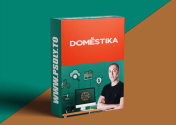 Domestika - Introduction to SEM: Create Google Ads from Scratch