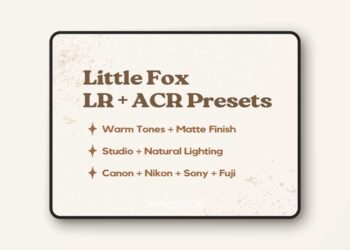 Jessica G - Little Fox Lightroom Presets