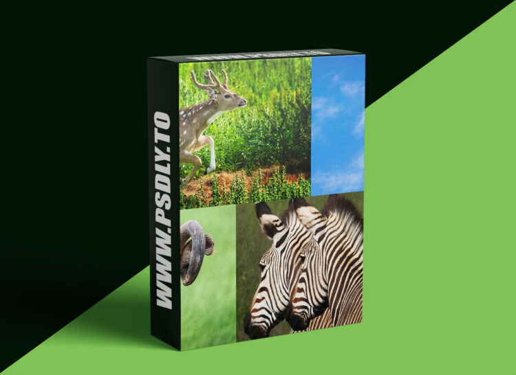 KelbyOne - Safari Photography in a Wildlife Park 1 KelbyOne - Safari Photography in a Wildlife Park