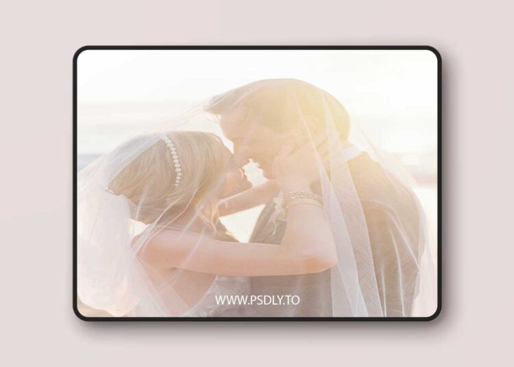 Lauren Fair PRESETS 1 Lauren Fair PRESETS