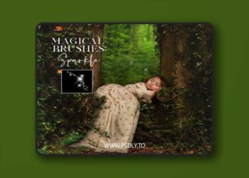 Meg Bitton - Sparkle Brushes ABR