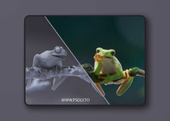 VFX Grace - Tree Frog Animated