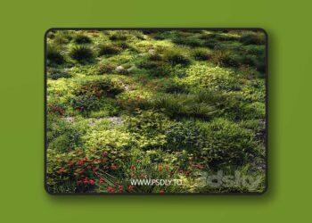 3dsky Pro - Grass set 1 3D Model