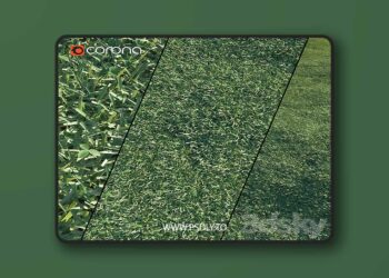 3dsky Pro - Lawn grass 3D Model