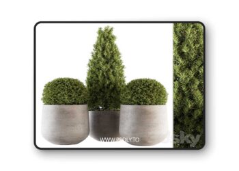 3dsky Pro - Outdoor Plants tree in Concrete Pot - Set 143