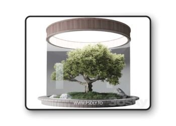 3dsky Pro - Terrarium №3 3D Model