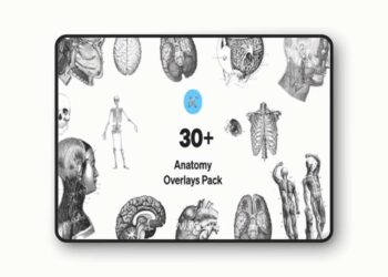 Anatomy HQ Overlays Pack for Photoshop