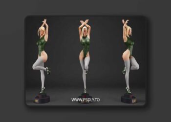 Cammy – Street Fighter – Street Dancer Version – Collectible – 3D Print Model