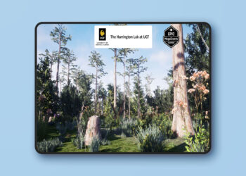 Depression Marsh Habitat Brush